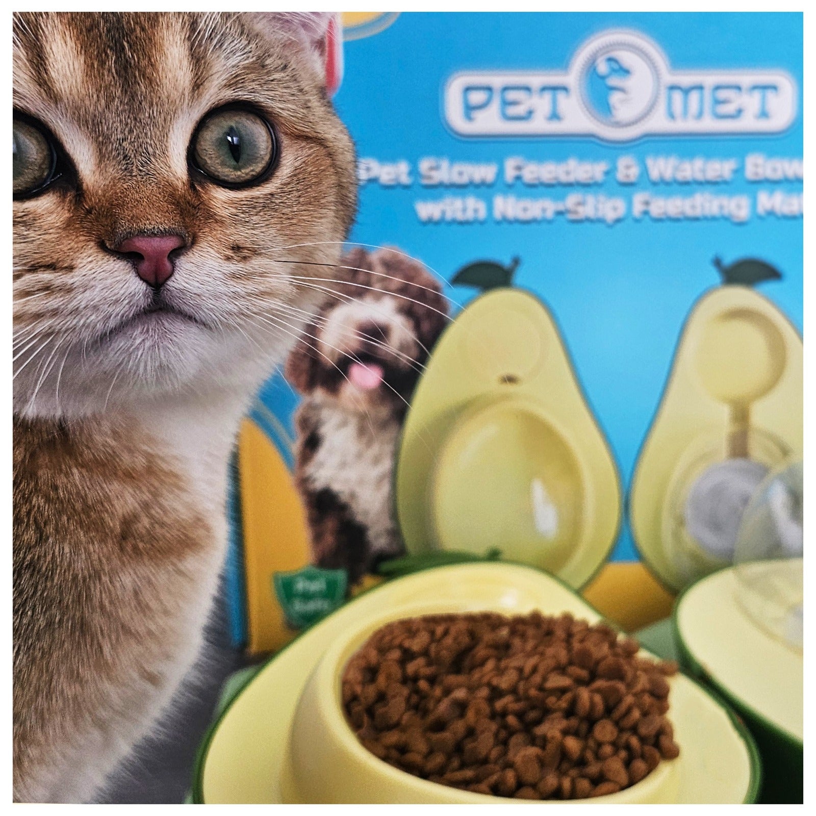 Cat Food and Water Bowl – Avocado Cat Bowl with Water Dispenser Pet Bowl& Small Dogs, Non-Spill, Anti-Choke, Eco-Friendly Dog Feeding Bowl Water Fountain 3-1 (Gray&White)